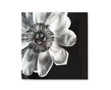 Black & White Flower - Acrylic Dry Mount / D